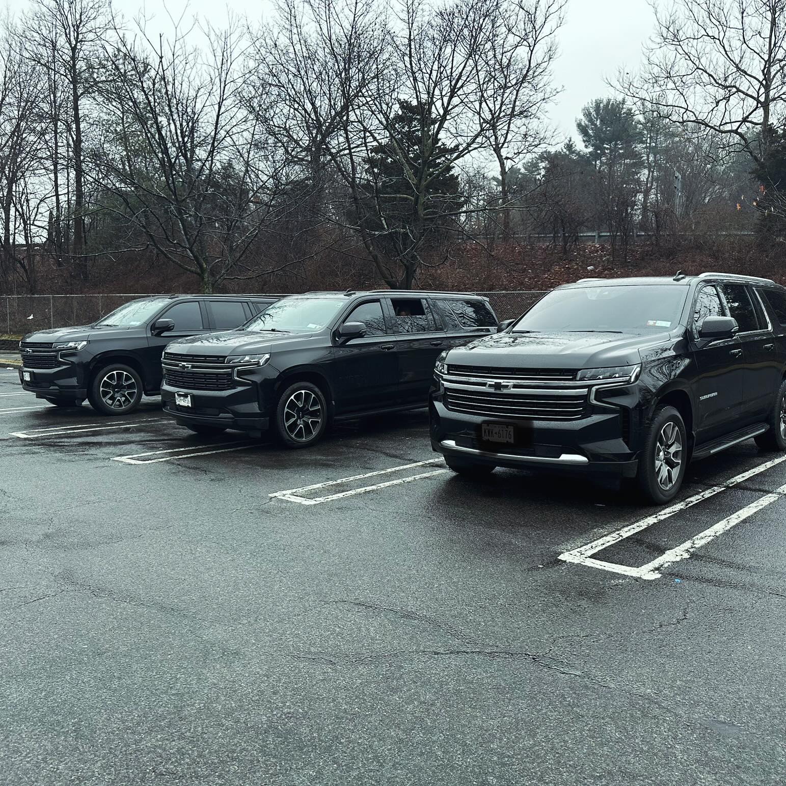 Professional driver service